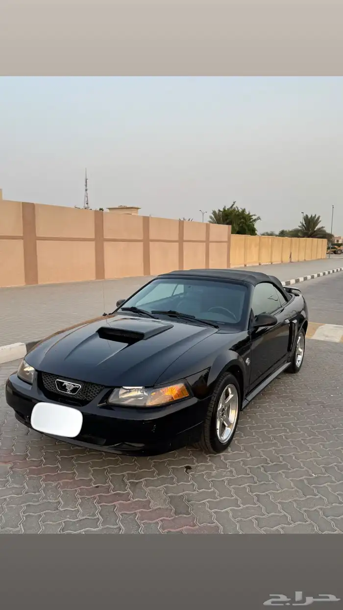 موستنق GT 2004 اصدار 40 عام بحالة الوكاله 14
