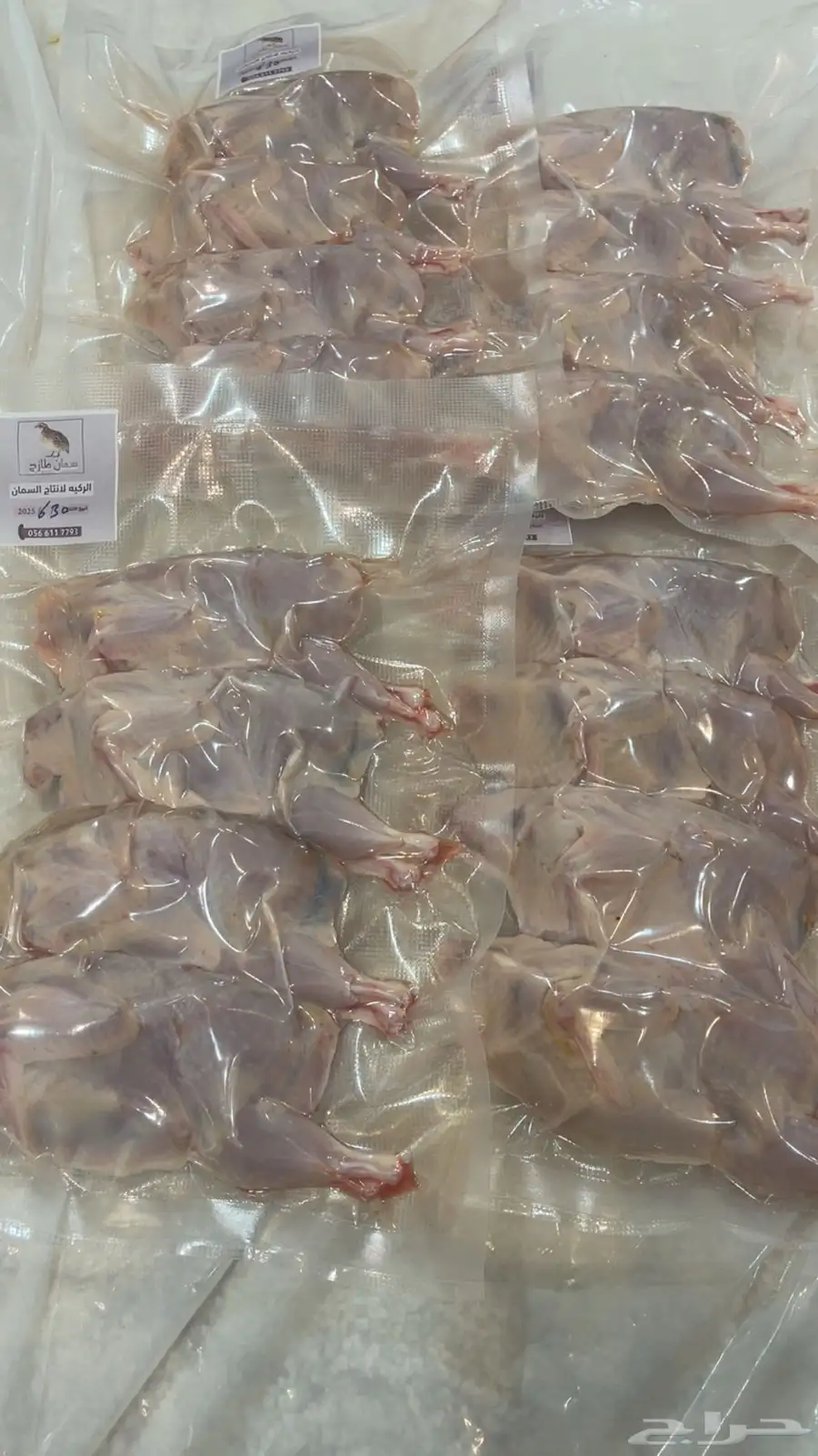 سمان فري طازج 0