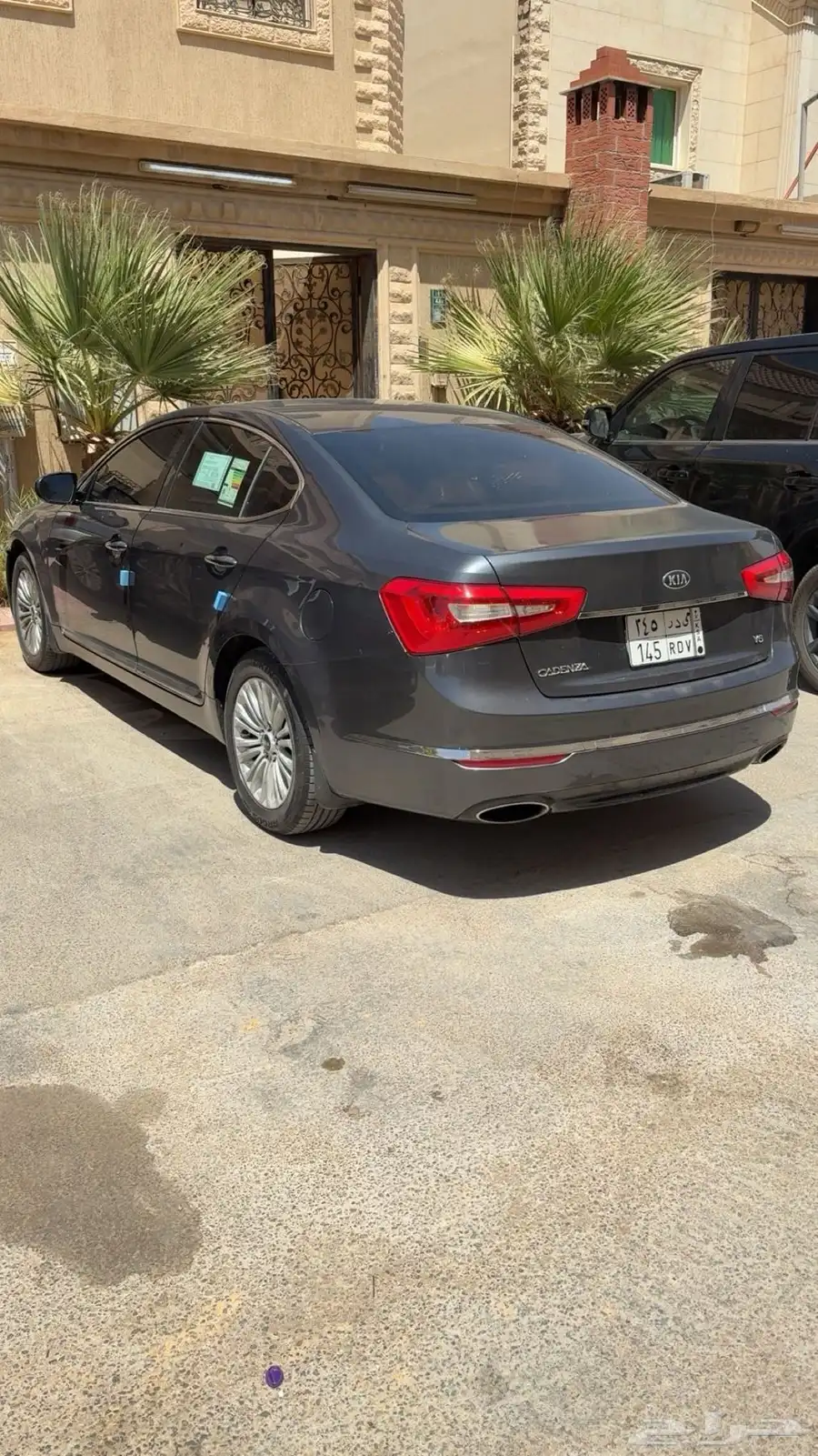 كادنزا 2015 2