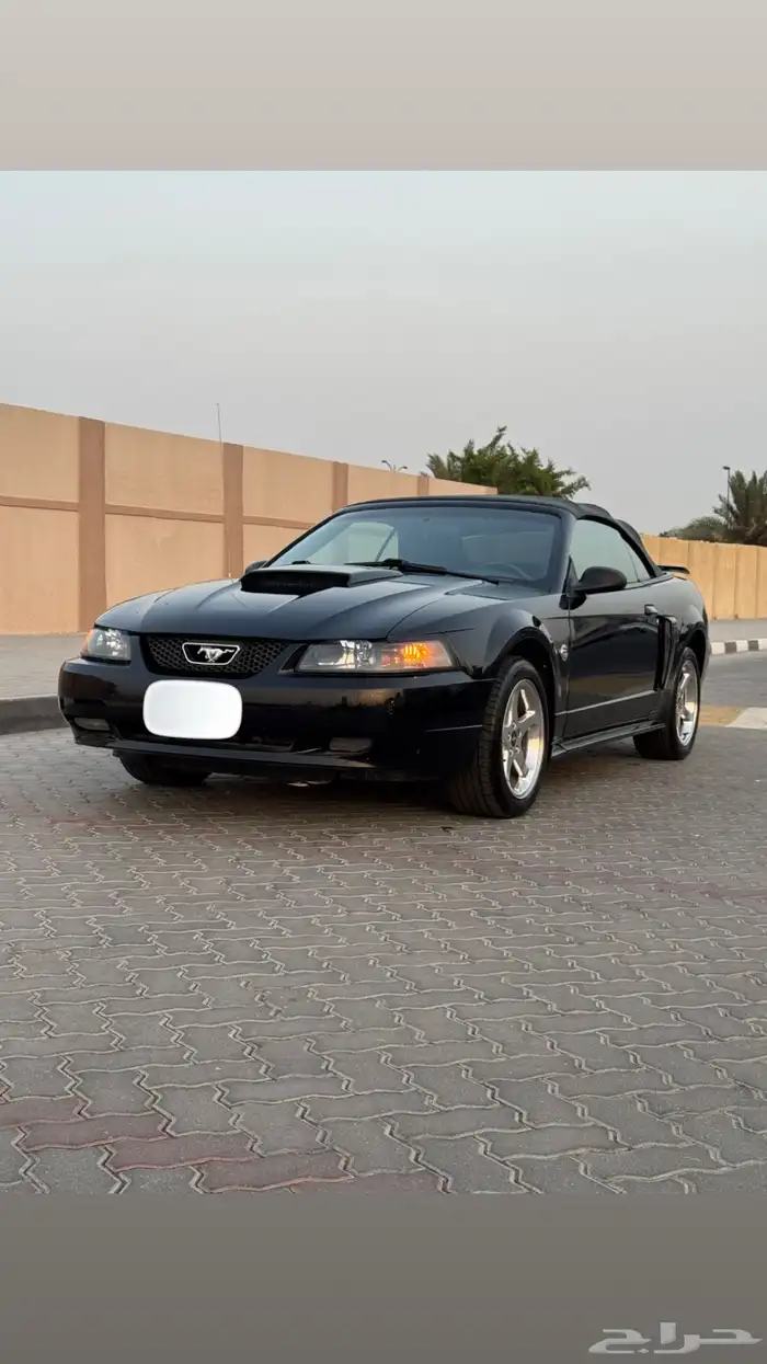 موستنق GT 2004 اصدار 40 عام بحالة الوكاله 11