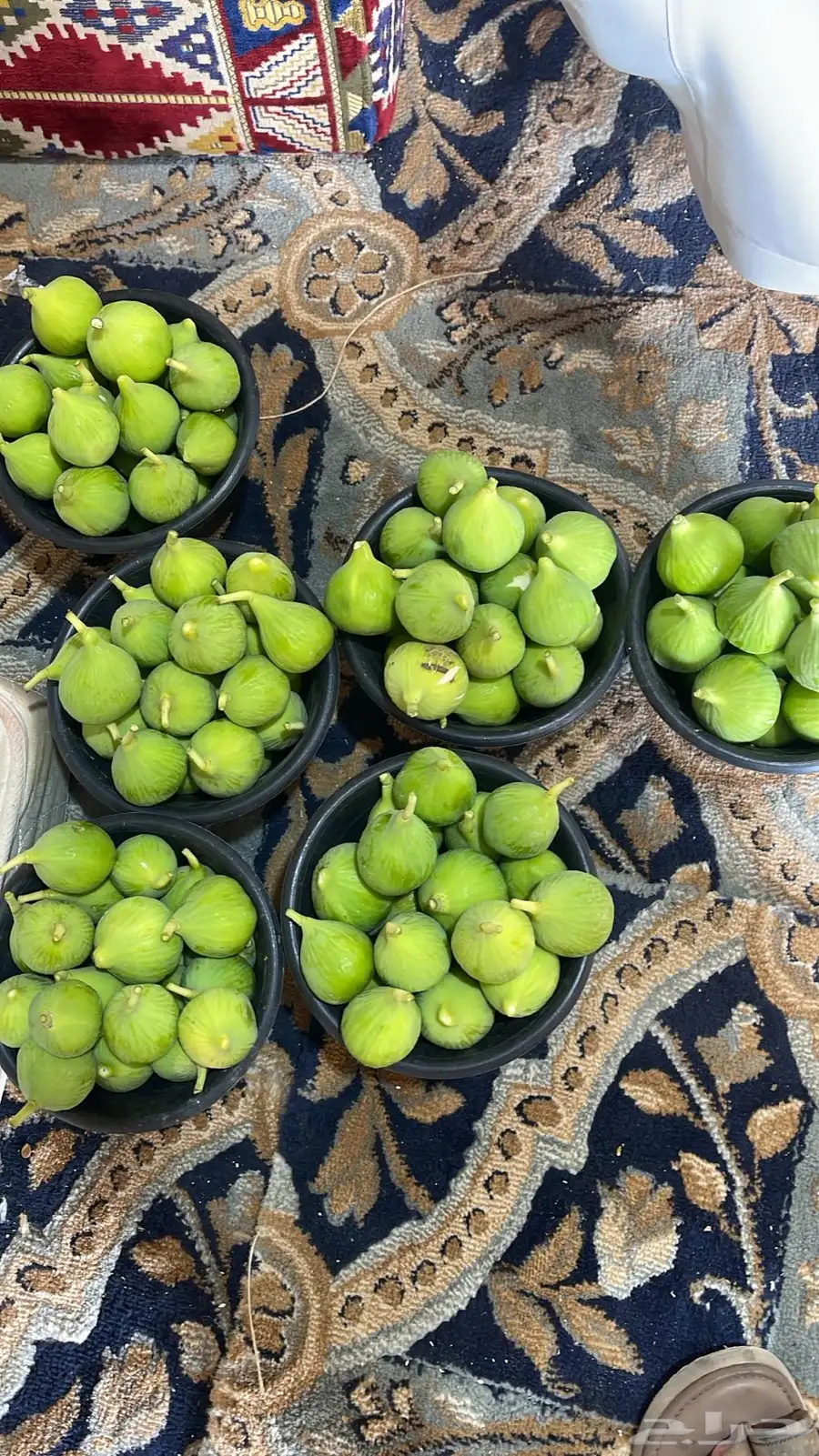 تين فاخر 1