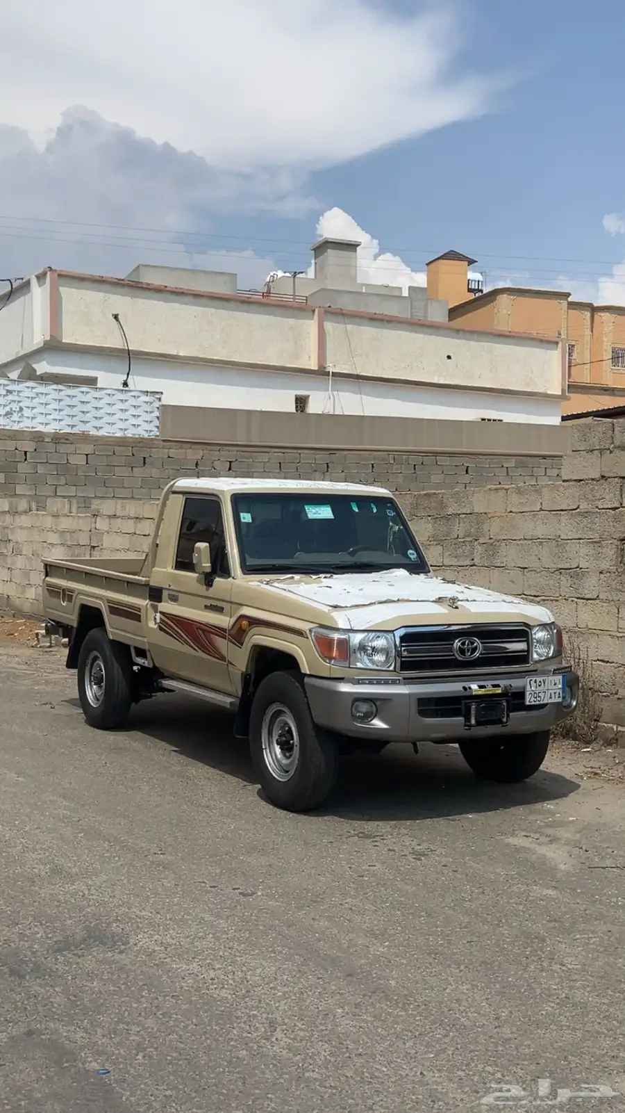 شاص 2010 4