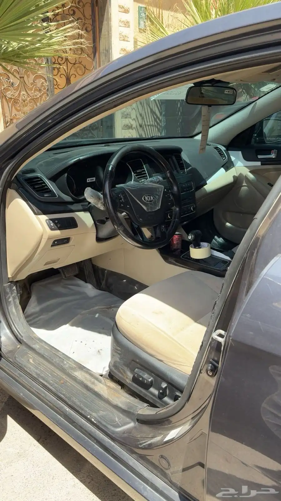 كادنزا 2015 3