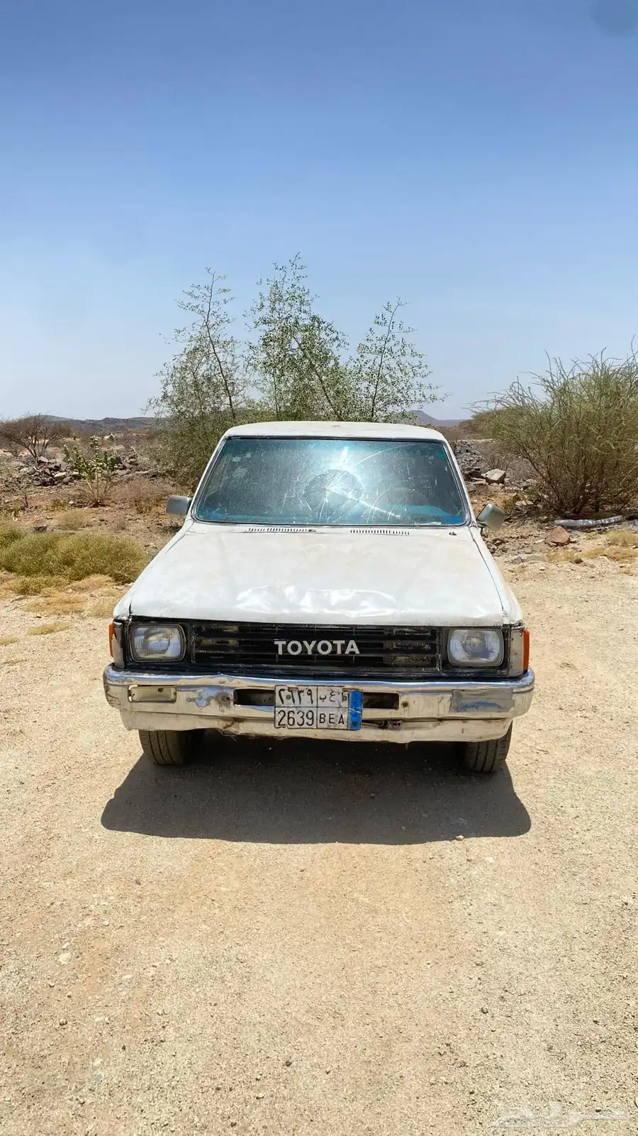 هلقس 1985 1