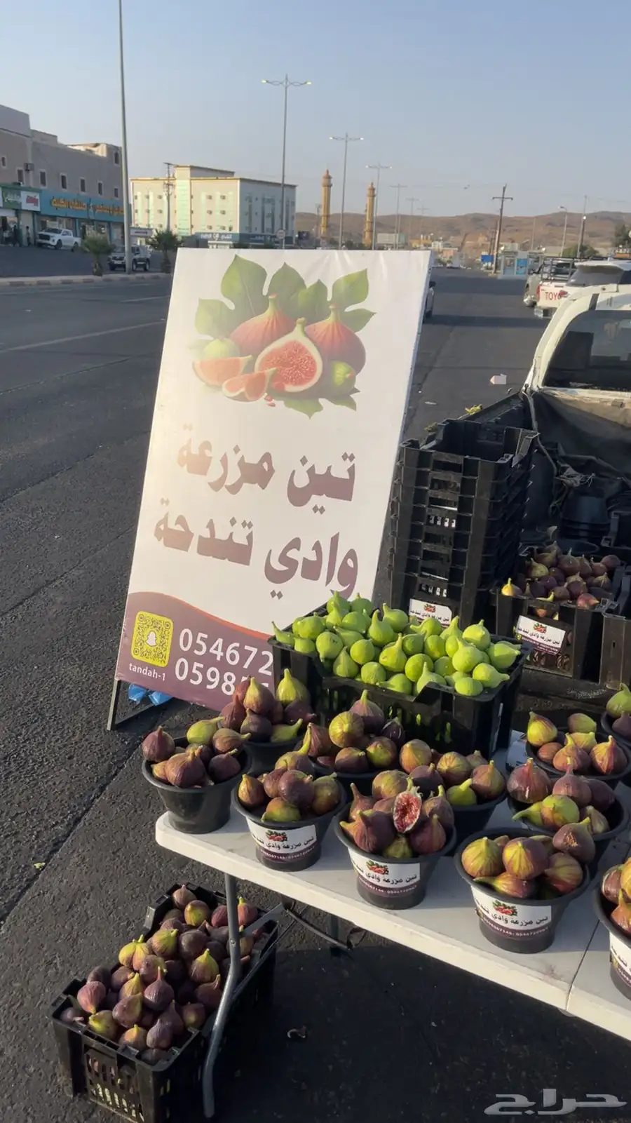 تين فاخر 6