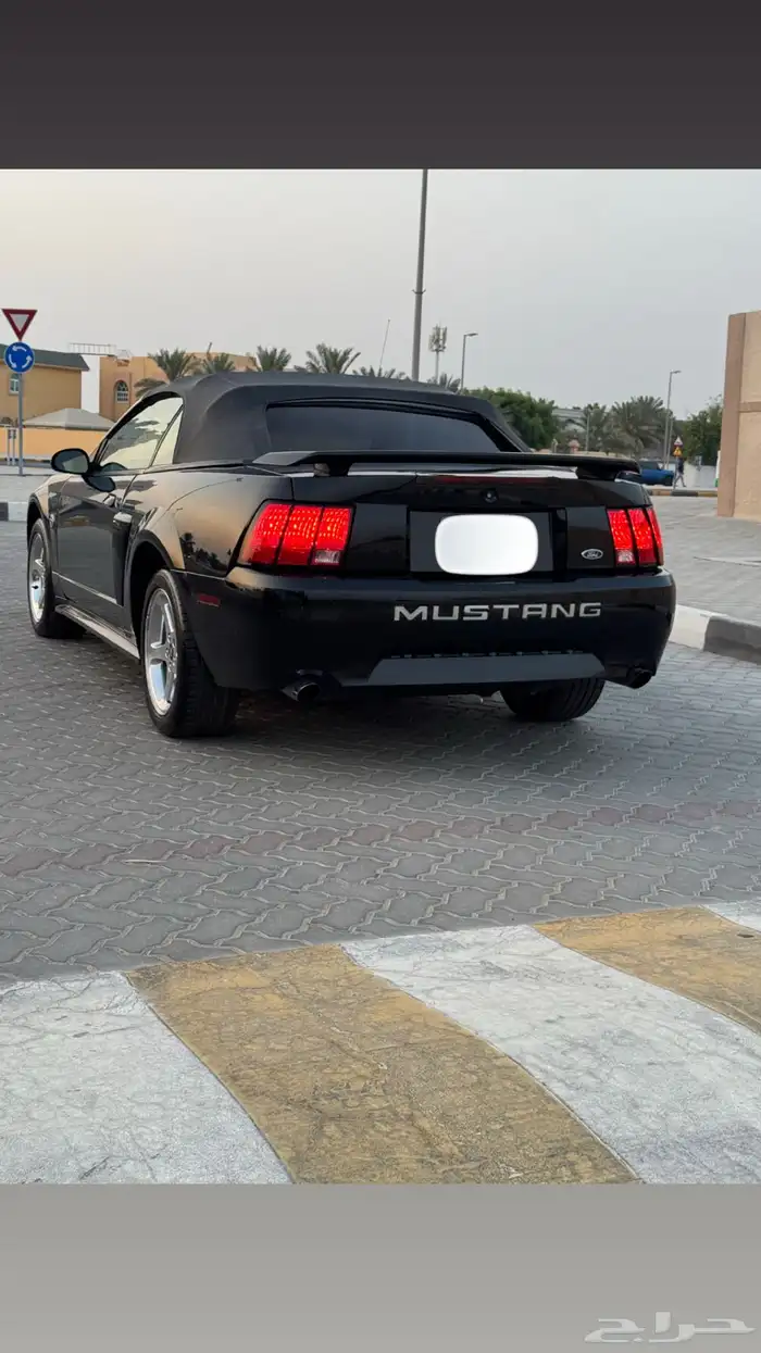 موستنق GT 2004 اصدار 40 عام بحالة الوكاله 6