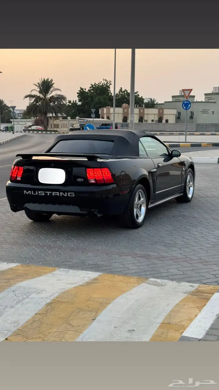 موستنق GT 2004 اصدار 40 عام بحالة الوكاله 8