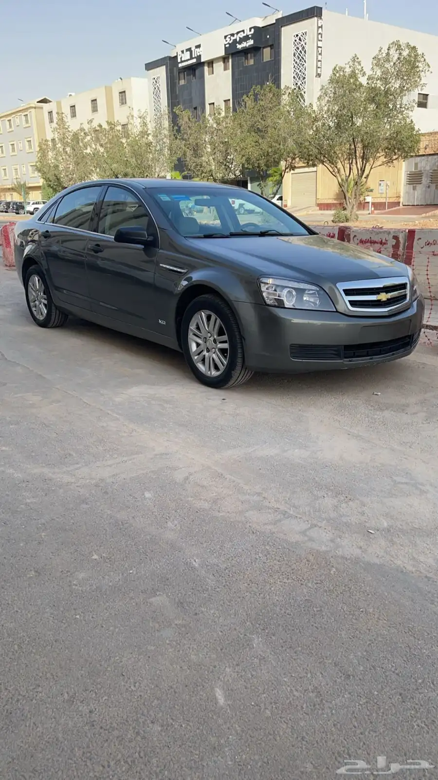 كابرس زعتري 13 1
