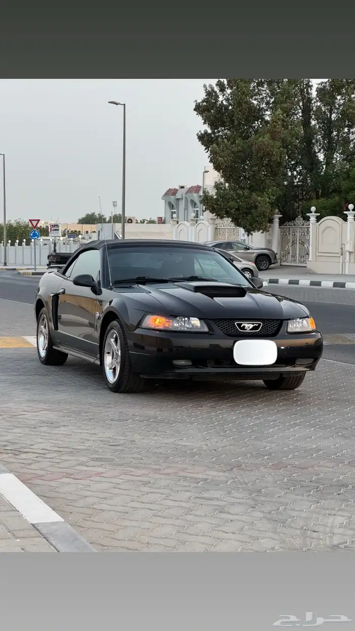 موستنق GT 2004 اصدار 40 عام بحالة الوكاله 3
