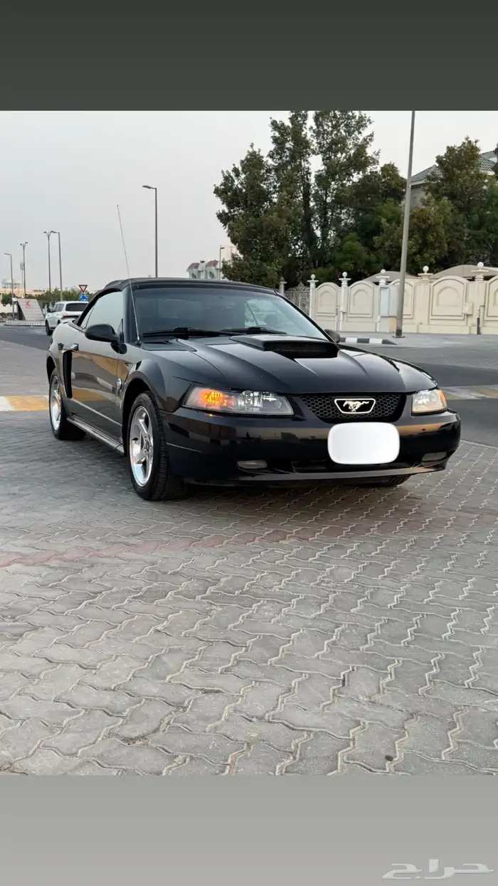 موستنق GT 2004 اصدار 40 عام بحالة الوكاله 9
