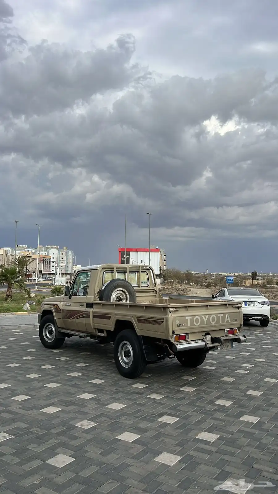 شاص 2010 5