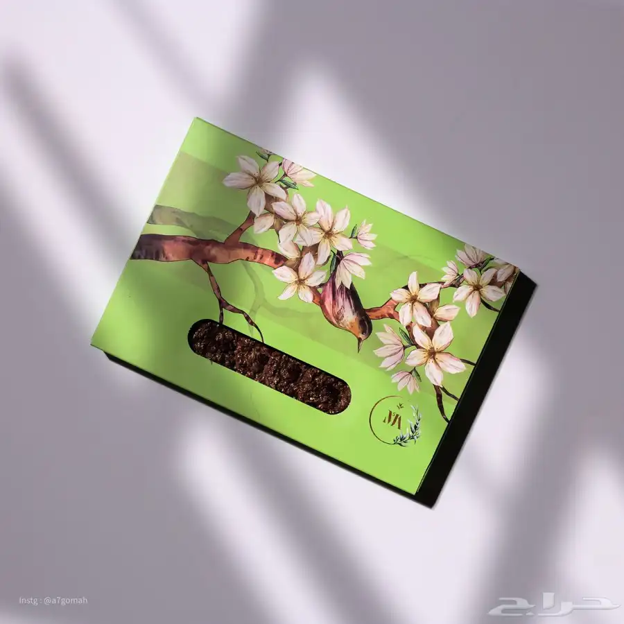 مصور ( صور - فيديو ) 8