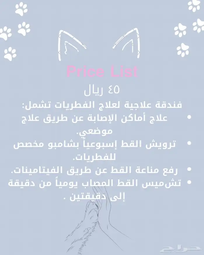 فندقة قطط القصيم 3