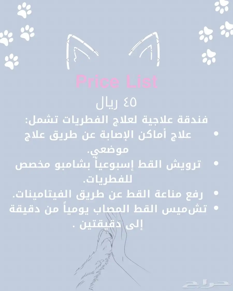 فندقة قطط القصيم 3