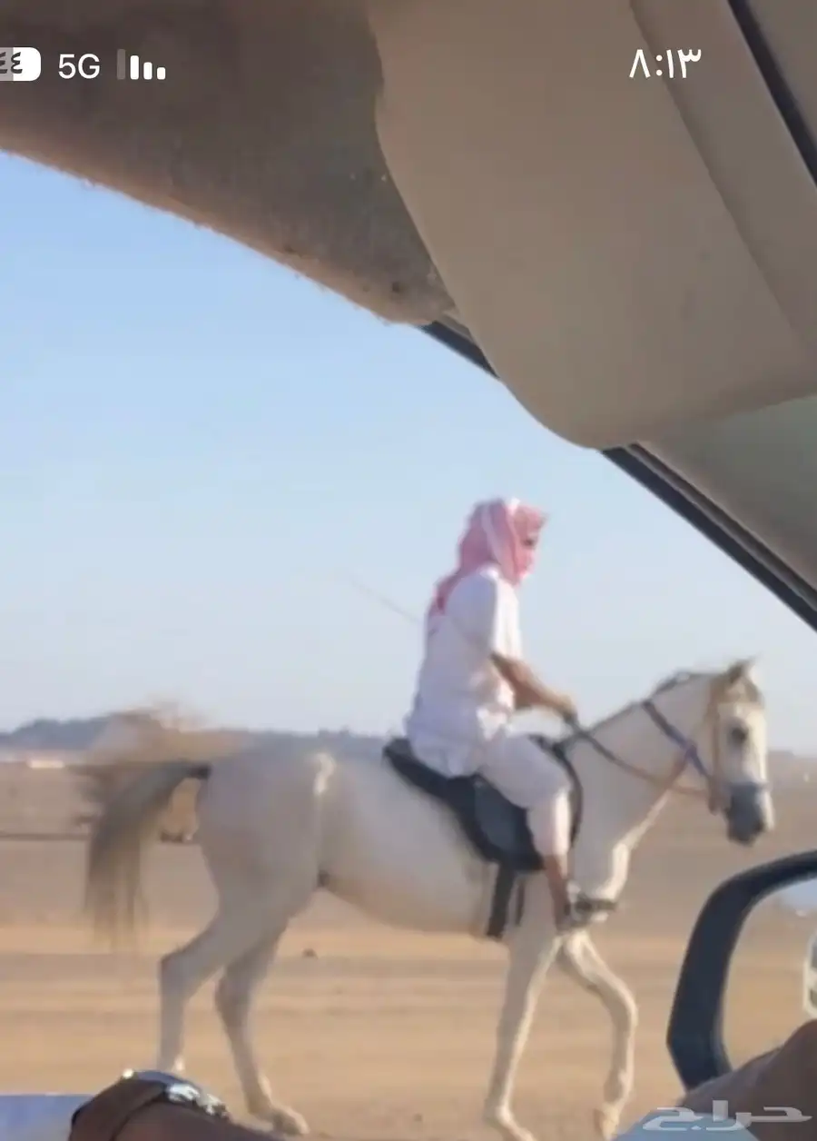 خيل 1