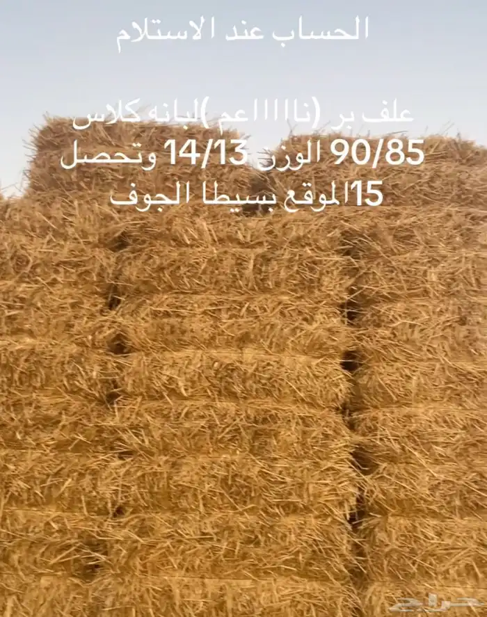 تبن قمح لبانه جندير ولبانه قلاص 0