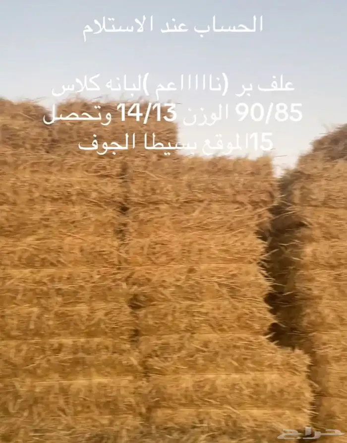 تبن قمح لبانه جندير ولبانه قلاص 3