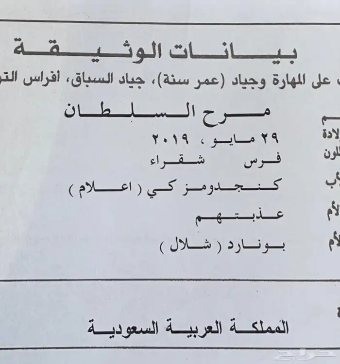 فرس 0