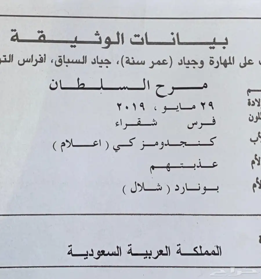 فرس 0