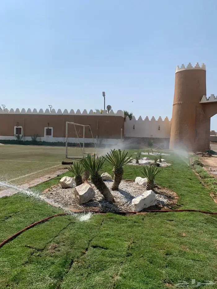ثيل طبيعي عشب اخضر صافي مشروط ومضمون 15