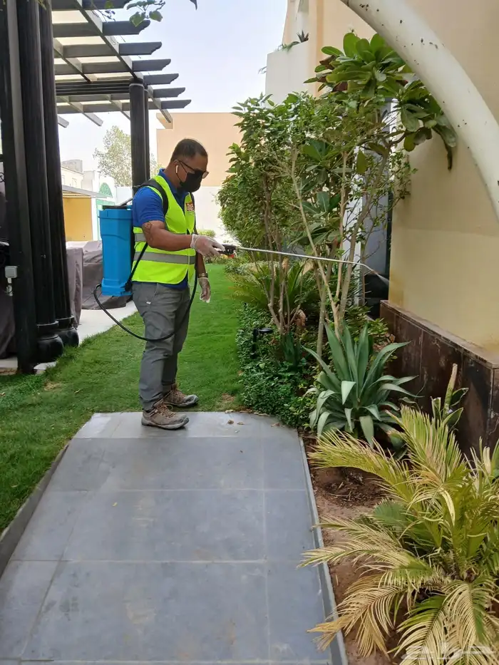 خدمة مكافحة الحشرات والنظافة 0