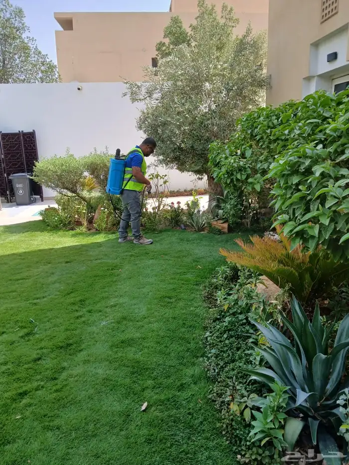 خدمة مكافحة الحشرات والنظافة 7