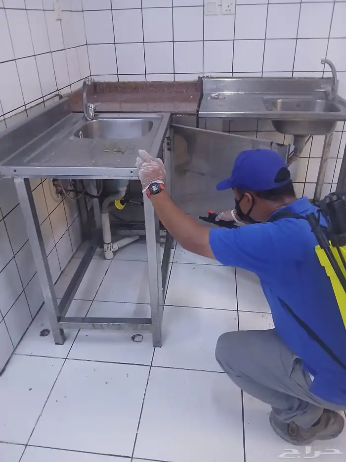 خدمة مكافحة الحشرات والنظافة 4