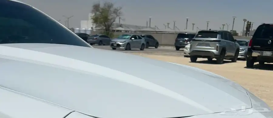 كبوت كمارو 10-15 1