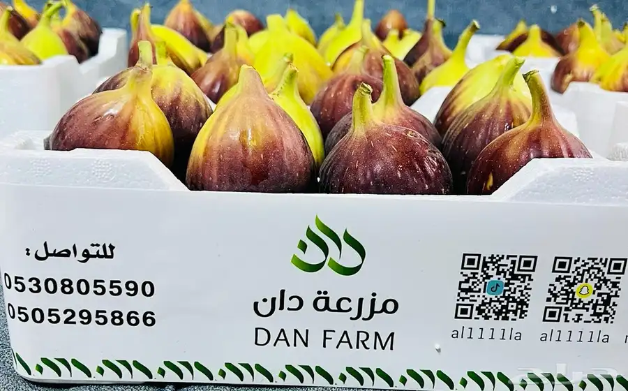 تين براون عسلي فاخر جملة أشيقر 0