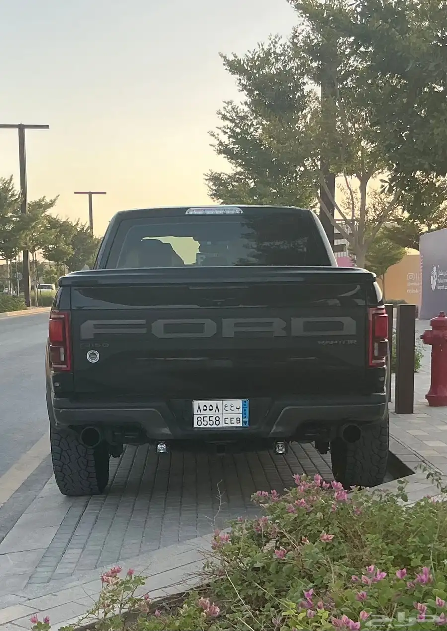 فورد رابتر 2019 1