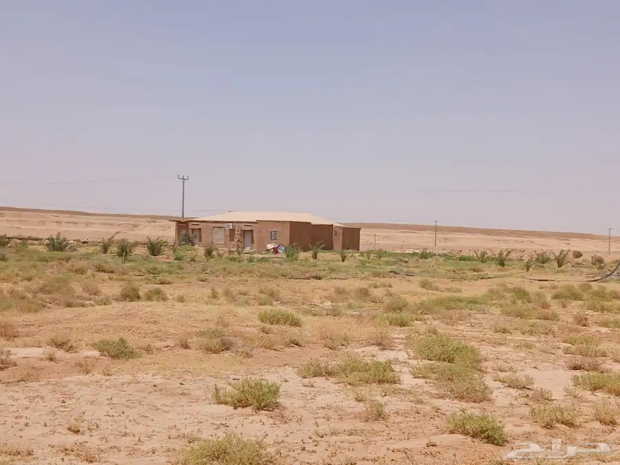 للبيع مزرعة غرب شمال الداهنة 1