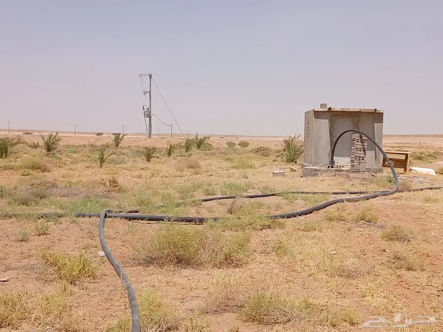 للبيع مزرعة غرب شمال الداهنة 3