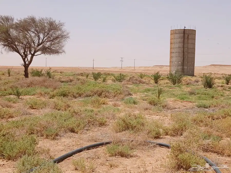 للبيع مزرعة غرب شمال الداهنة 2