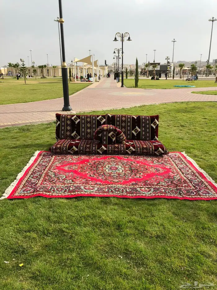جلسات ظهر فخمة جديدة للبيع مع الزل 10