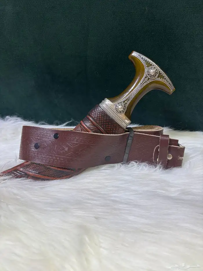 جنبية دس جنوبية قرن طبيعي 0