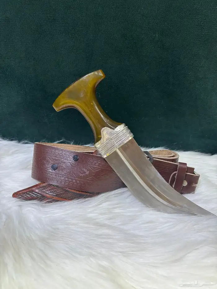 جنبية دس جنوبية قرن طبيعي 2