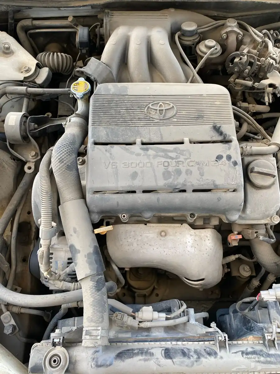 AVALON XLS 2002 0
