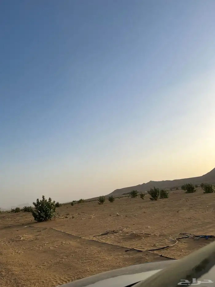 مزرعه للايجار محور رشاش خمس ابراج ارض زراعيه (الموقع برك 5
