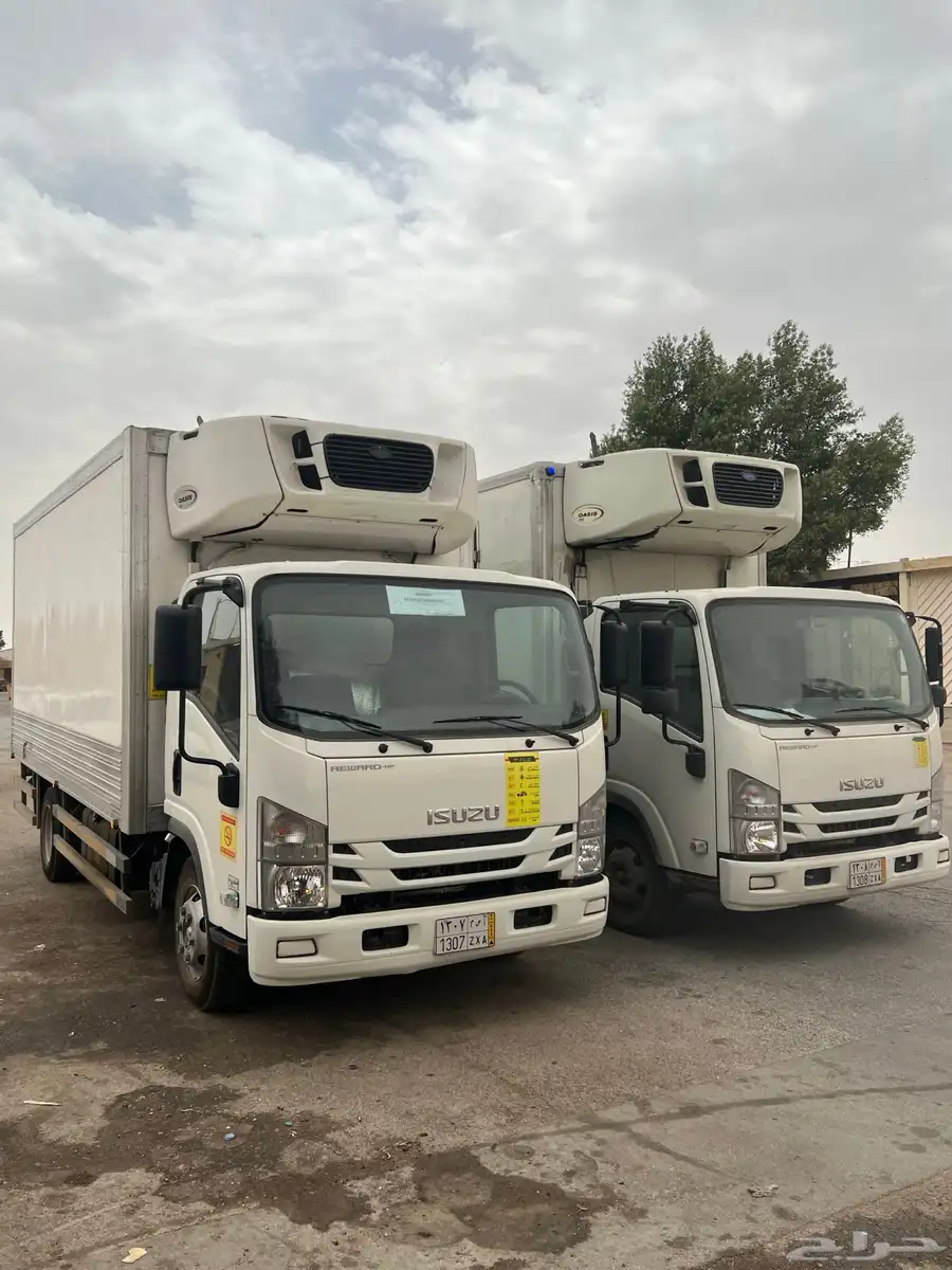 ايجار دينا 0