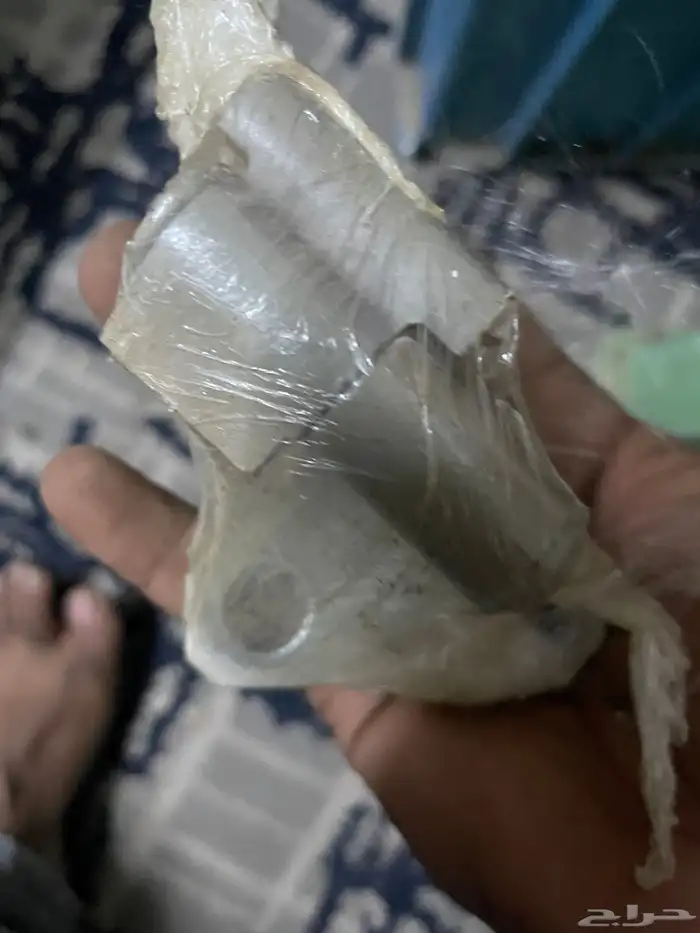 القحمه 18