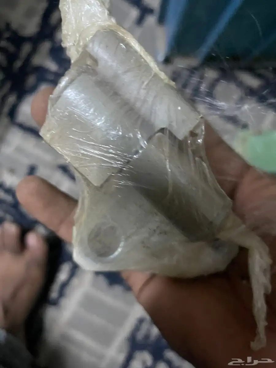 القحمه 18
