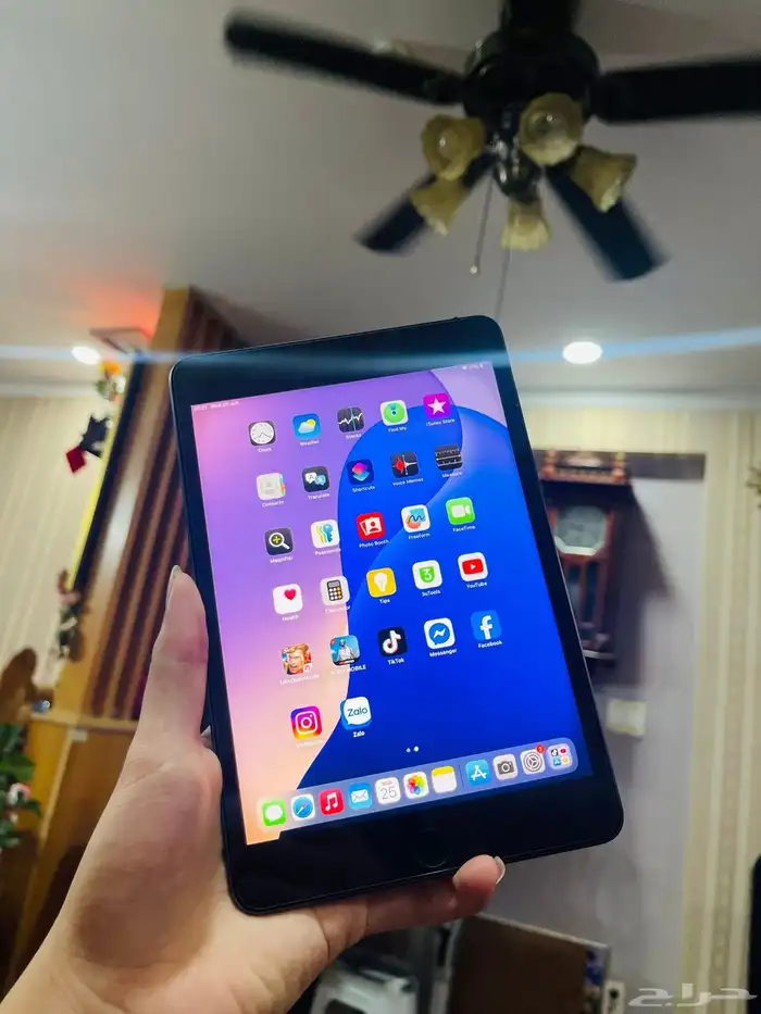 iPad mini 5 0