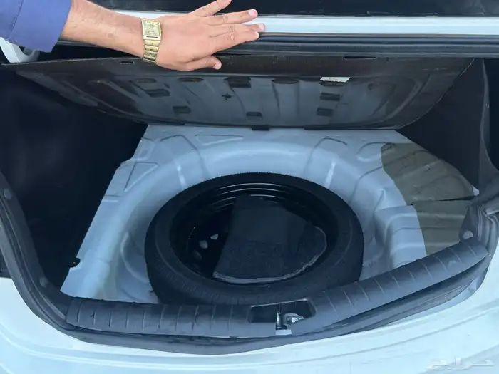 كياء بيجاس 2024 8