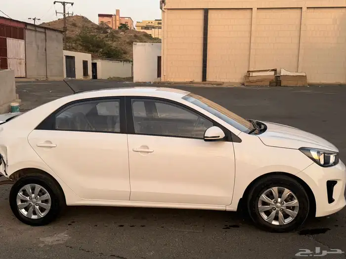 كياء بيجاس 2024 2