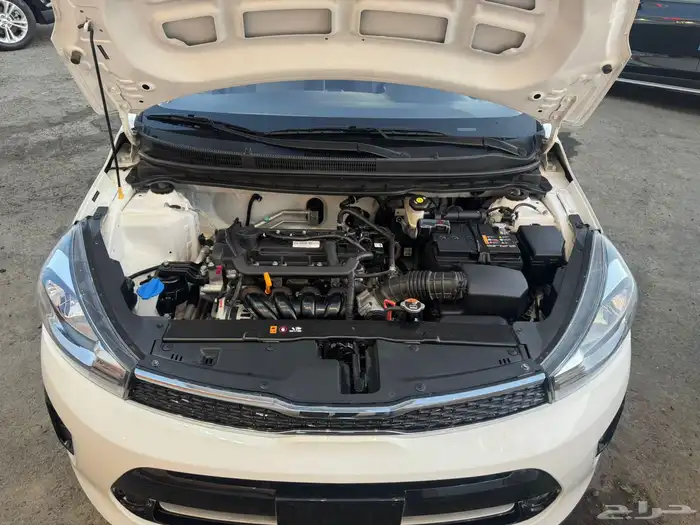 كياء بيجاس 2024 7