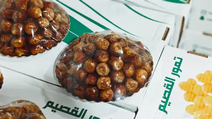 تمور جلكسي مفتل صقعي 1