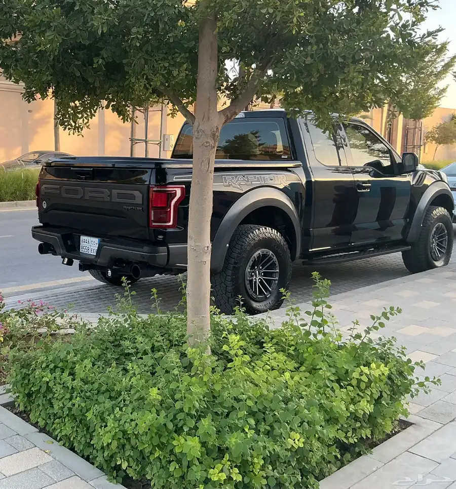 فورد رابتر 2019 2
