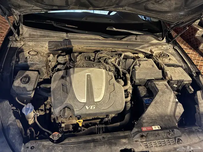 كادينزا 2018 نص فل بانوراما 15