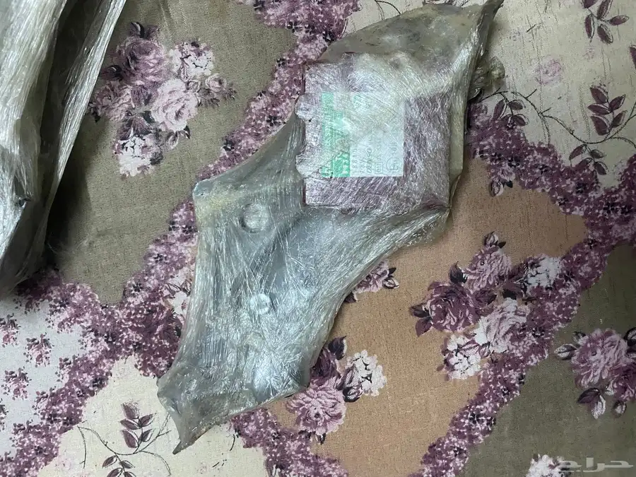القحمه 42