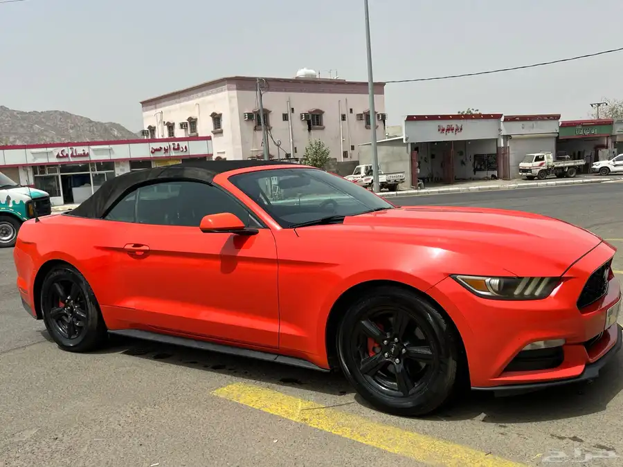 موستنق 2015 81
